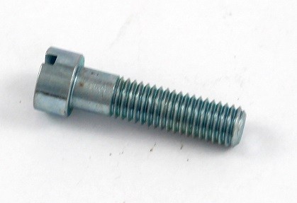 SCREW - SLOTTED - OUTER COVER SLOTTED SCREWS (EA)