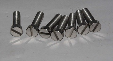SCREW-CHEESEHEAD SLOTTEDS/S-AMC PRIMARY-CAN USE 00-0482 OR SET:00-0484SET