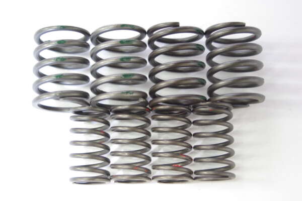 SET--VALVE SPRINGS - ONE SET PER MOTOR / INCL BOTH INNER & OUTER - TRI T120 T140