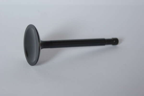VALVE STD- INLET - S/S -BLACK DIAMOND PRECISION MACHINE -1971-76 TRI TRIDENT 750