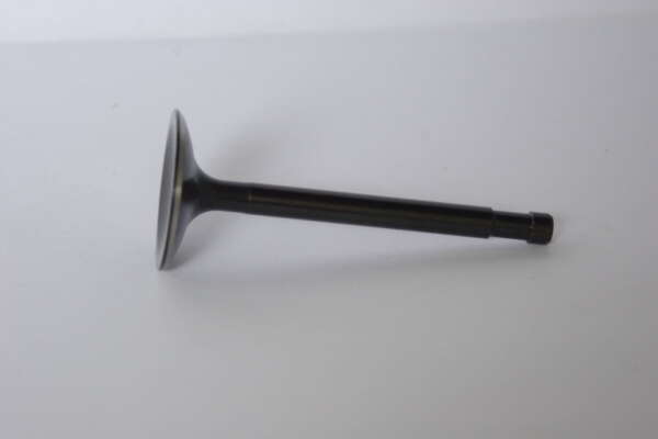 VALVE STD - EXHAUST -STAINLESS - BLACK DIAMOND PRECISION MACHINE - 73-76 TRIDENT