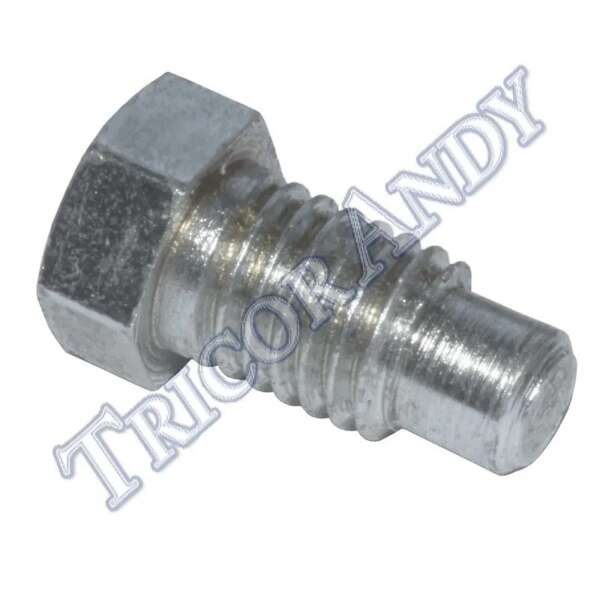 BOLT - TAPPET BLOCK LOCKING BOLT - CAN USE 97-0200S/S