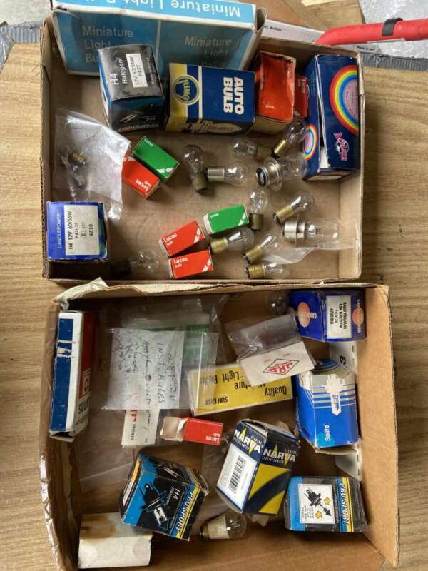 UNSORTED BOX OF 50 BULBS FROM RETIRED TRIUMPH DEALER'S INVENTORY